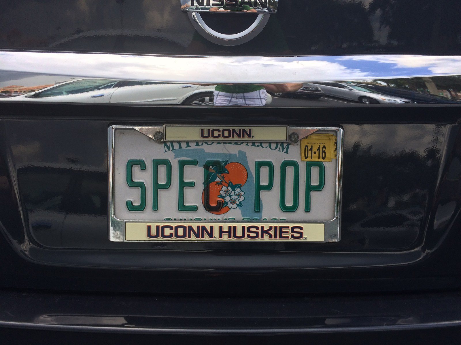 Spec Pop