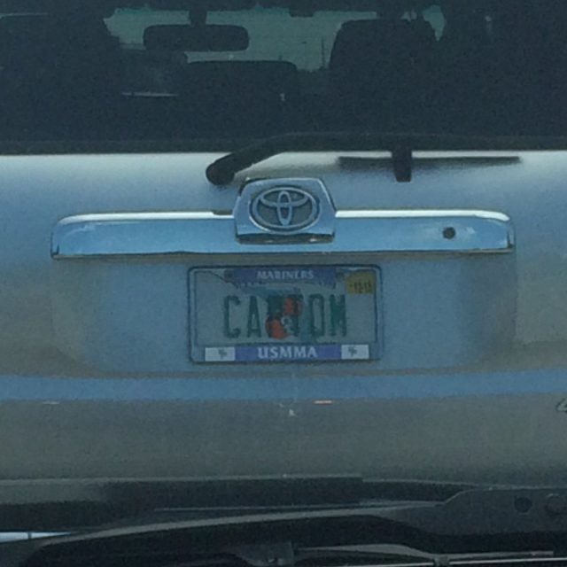Captain My Captain
