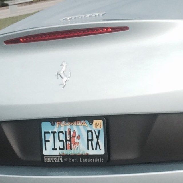Fish Doctor