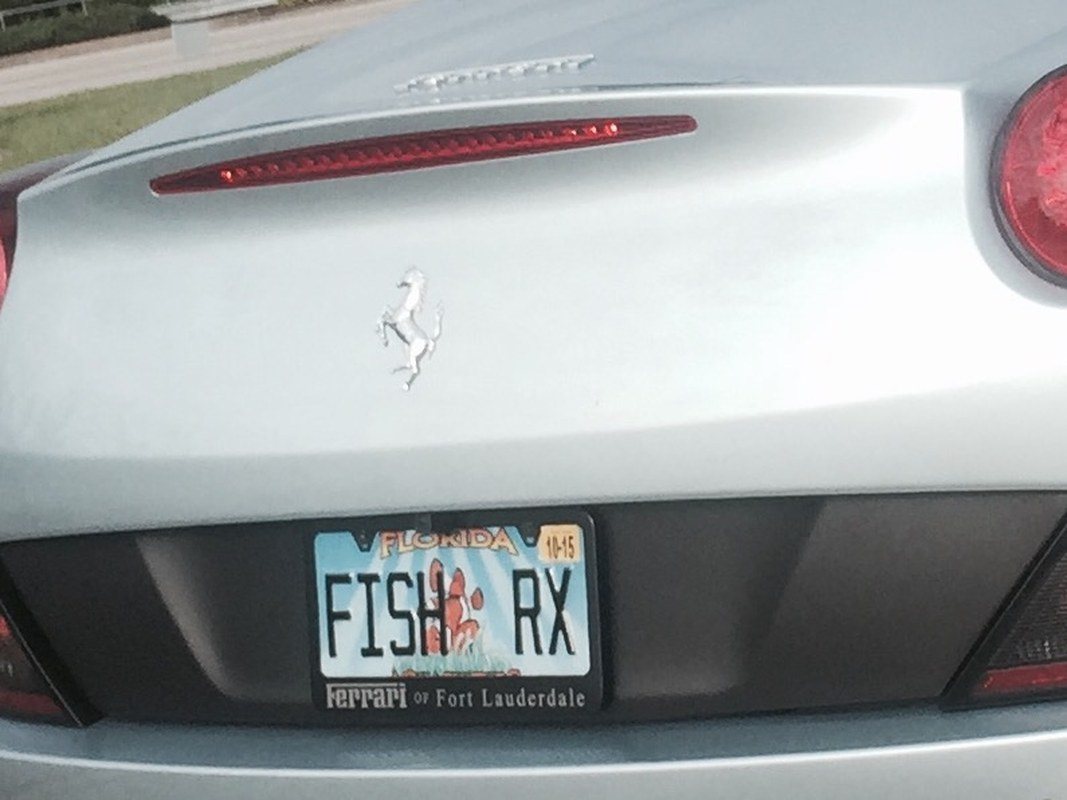 Fish Doctor