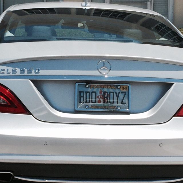 Boo Boys... Stay Away