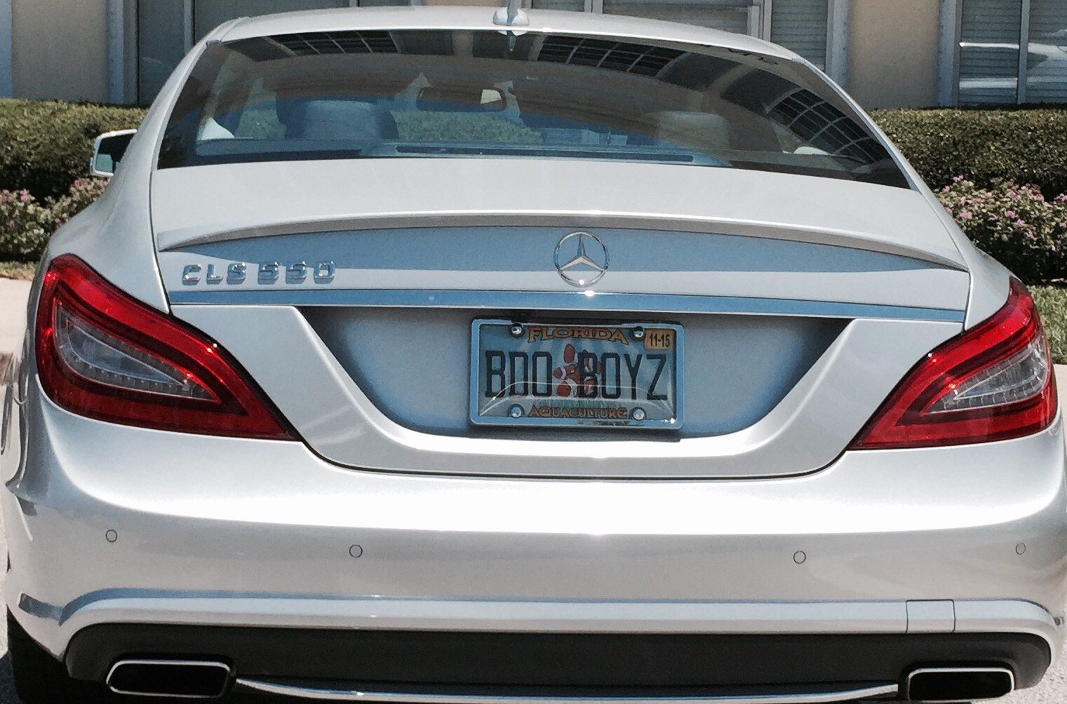 Boo Boys... Stay Away