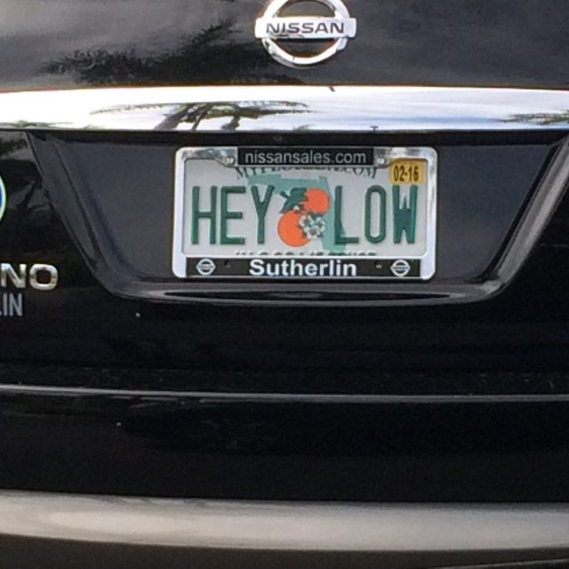 Hello Or Halo?