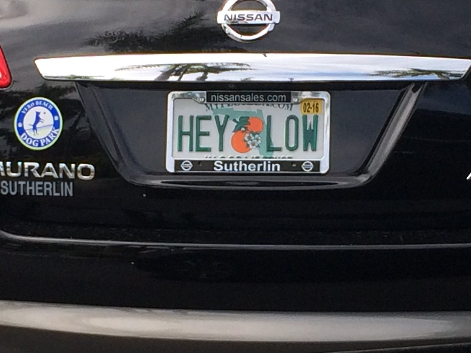 Hello Or Halo?