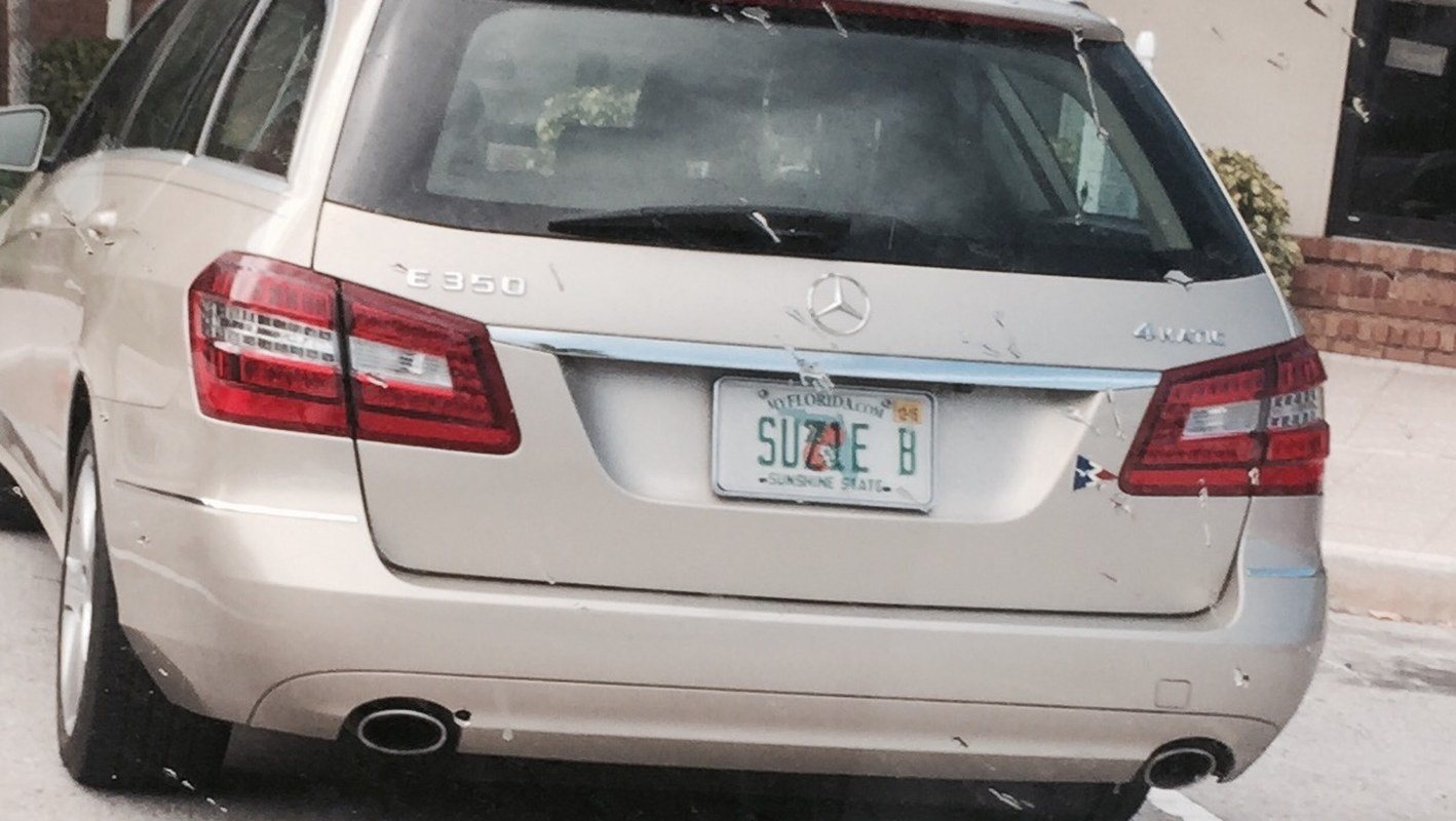 Suzie B