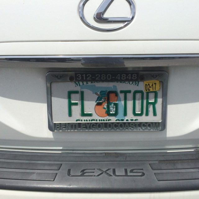 Florida Gator