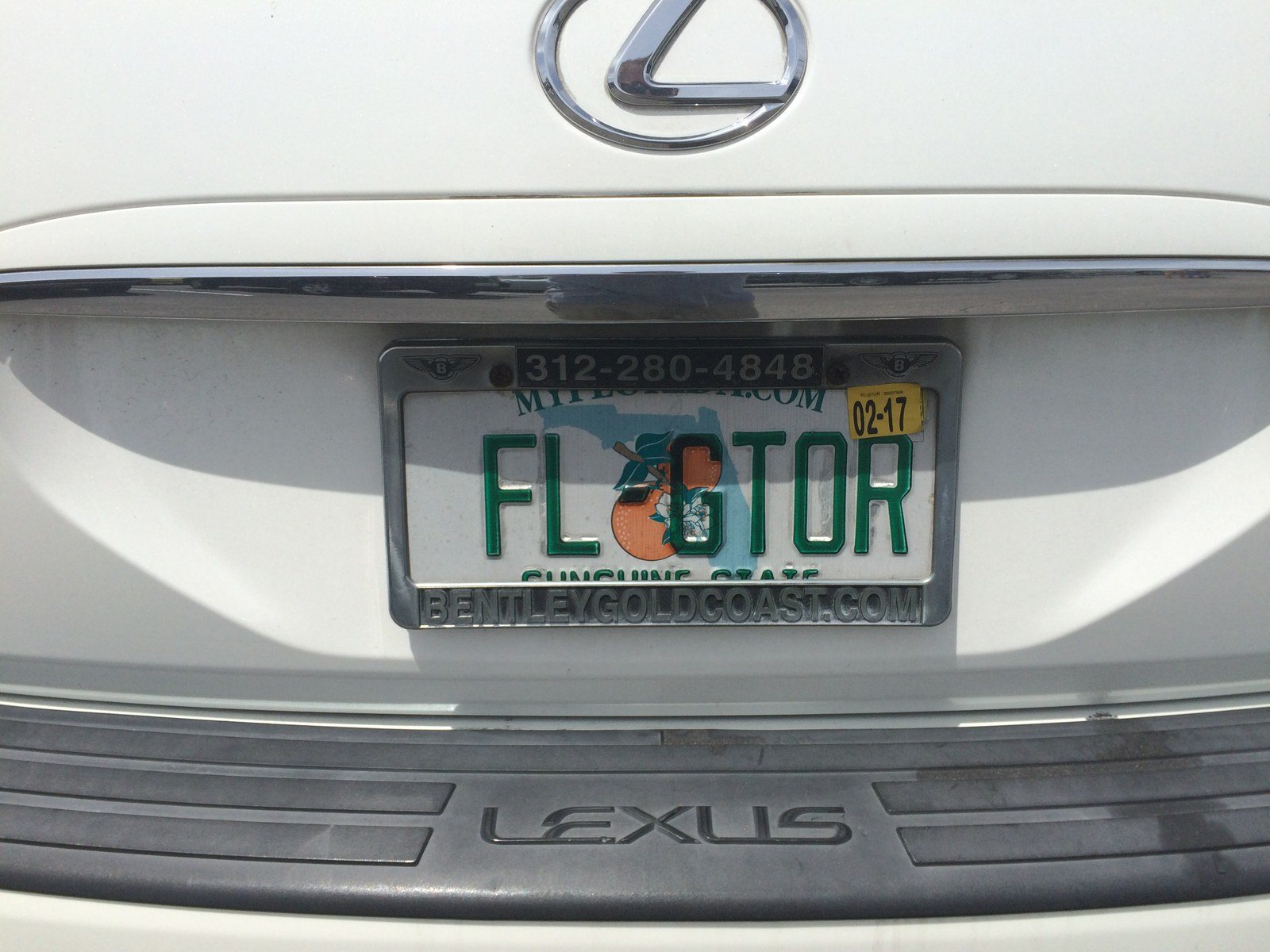 Florida Gator
