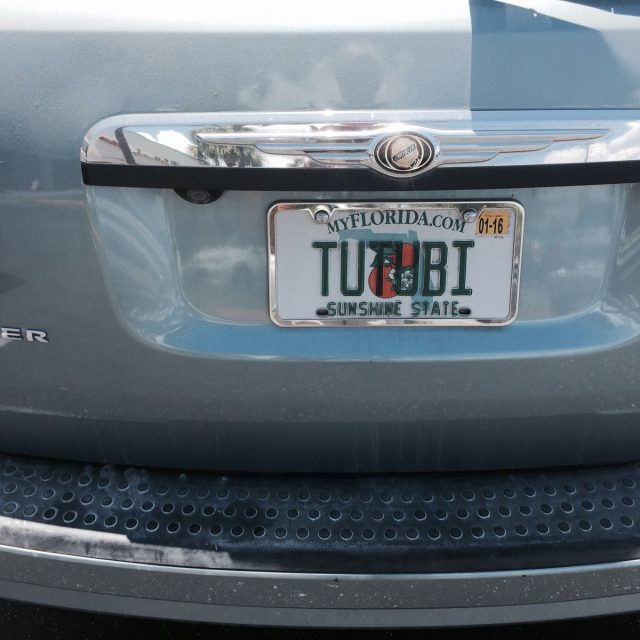 Tutubi