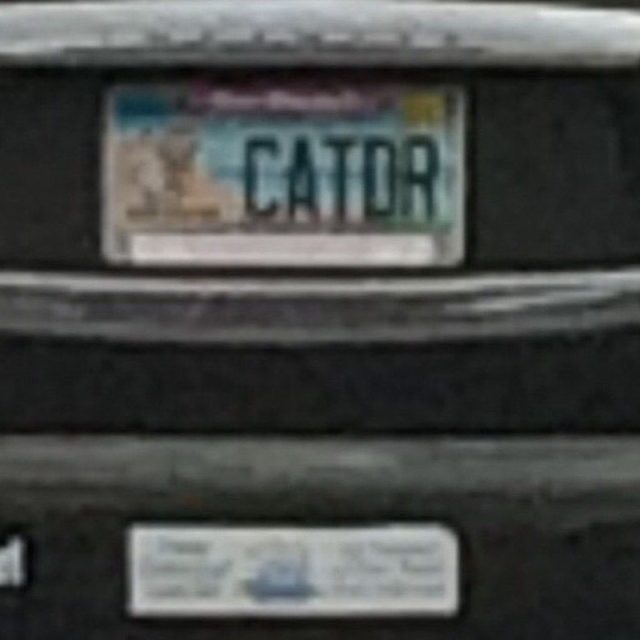 Cat Doctor