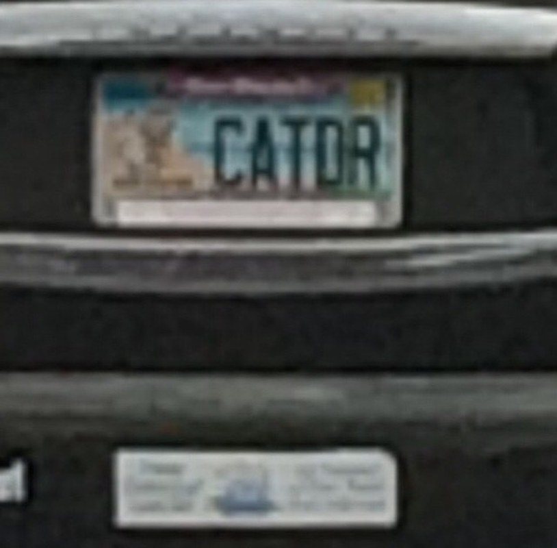 Cat Doctor