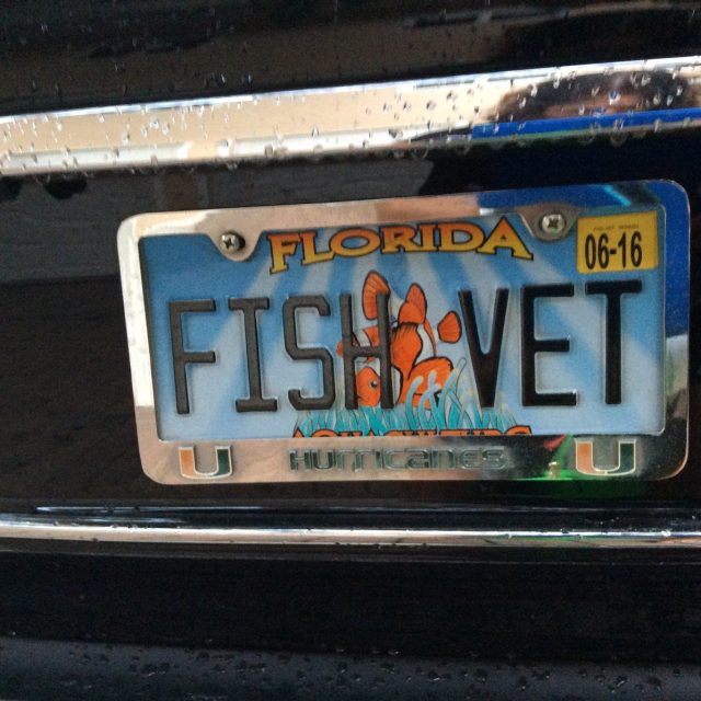 Vanity Tag