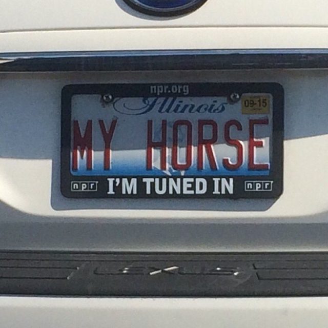 My Horse