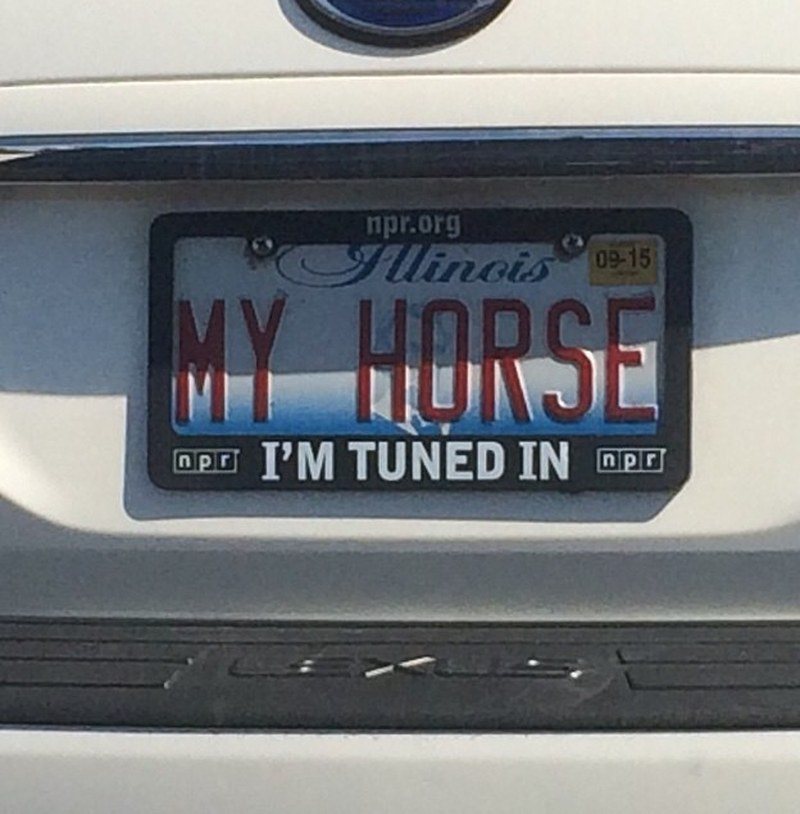 My Horse