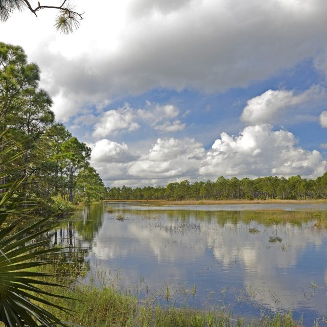 Stick Marsh Pond
