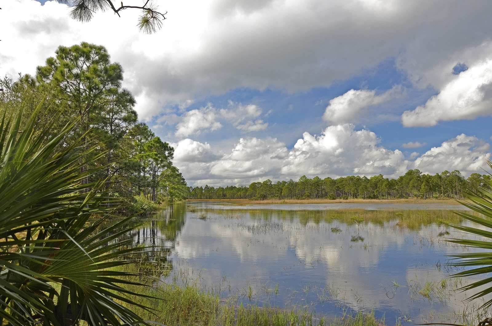 Stick Marsh Pond