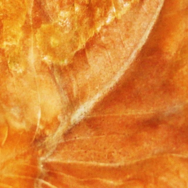 A Dead Leave