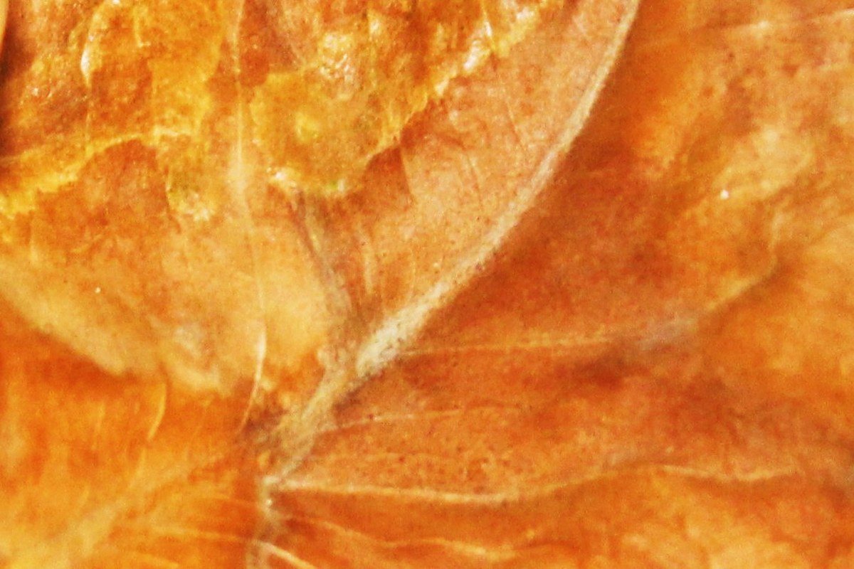 A Dead Leave