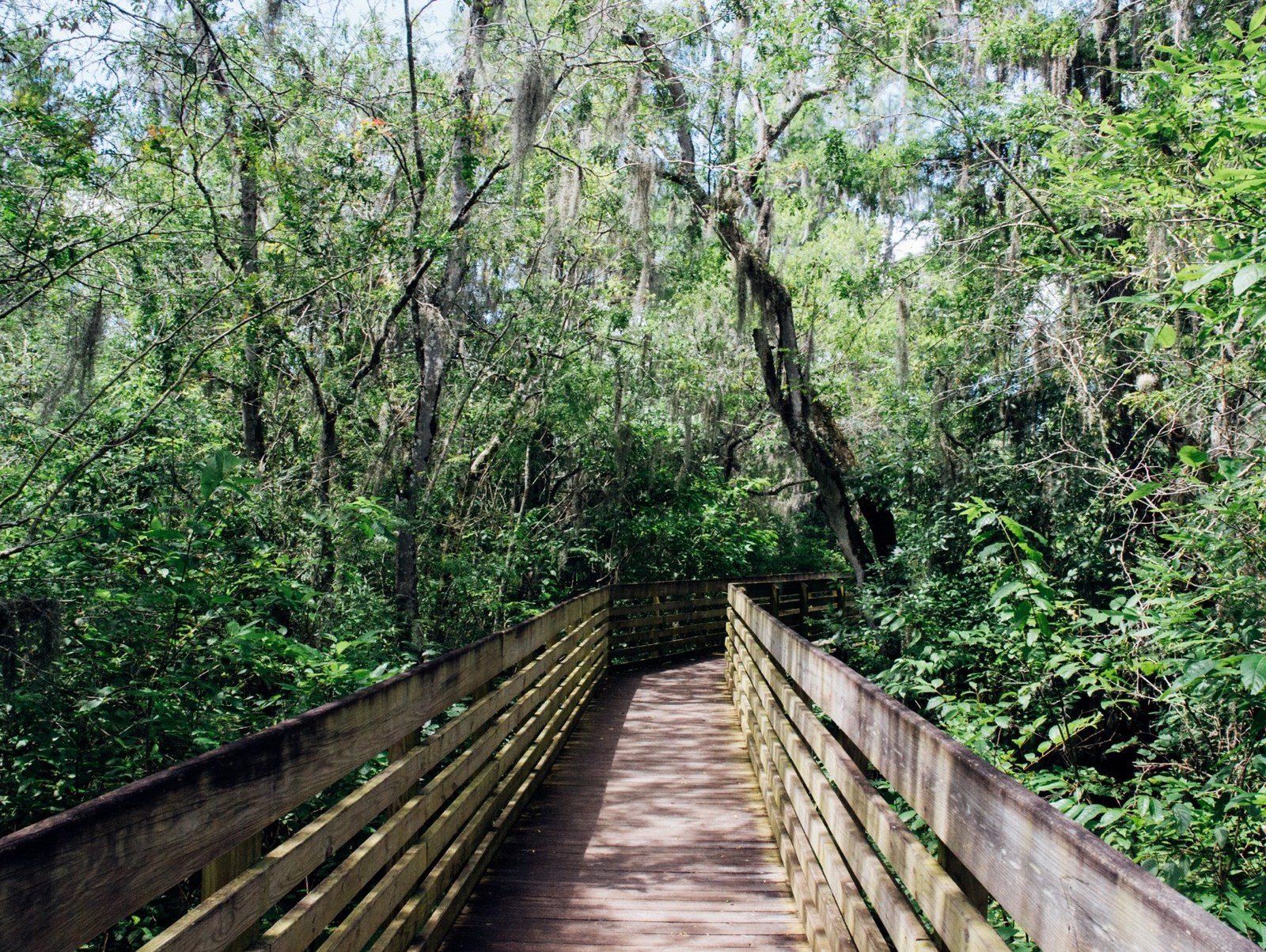 Lettuce Lake Boardwalk