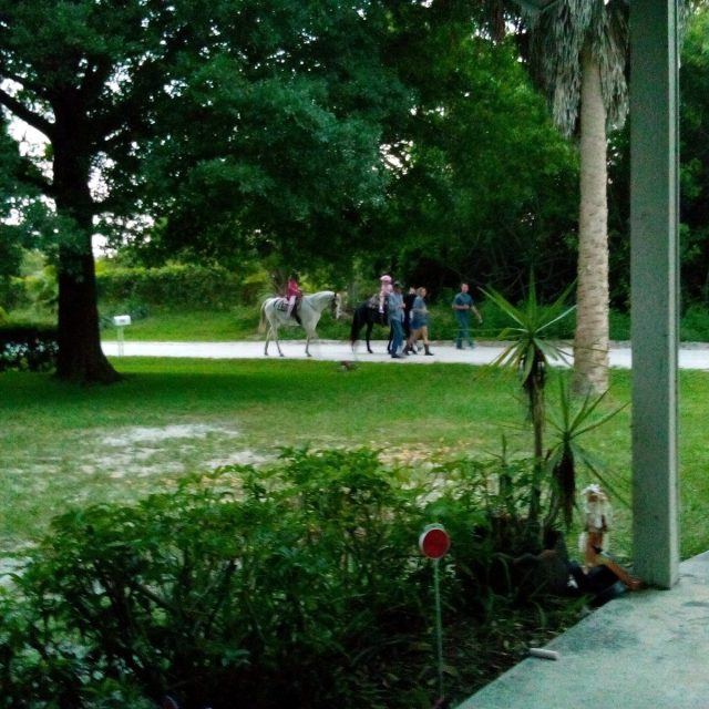 My Street