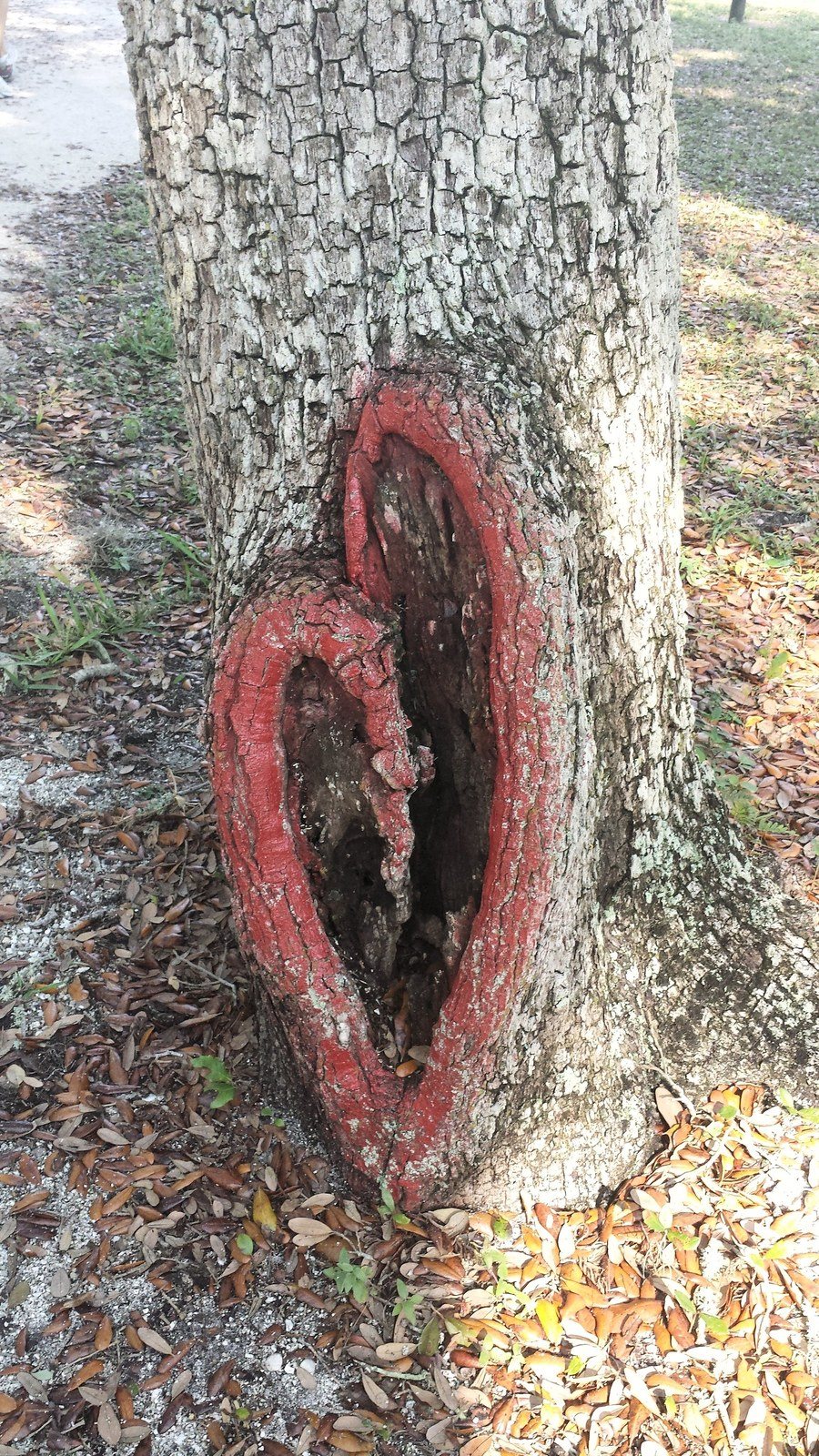 On The Heart & Health Trail-Riverside Park