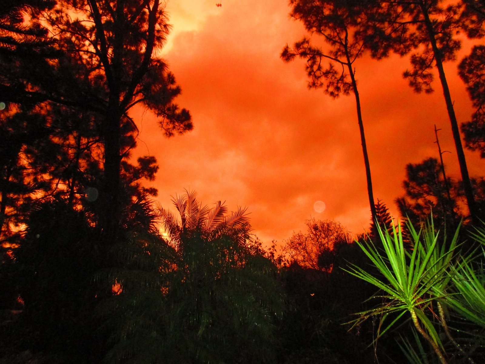 Early Morning In Vero
