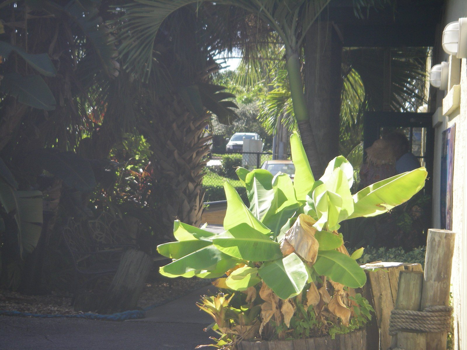 River Side Cafe
