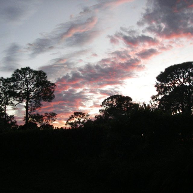 Sun Set