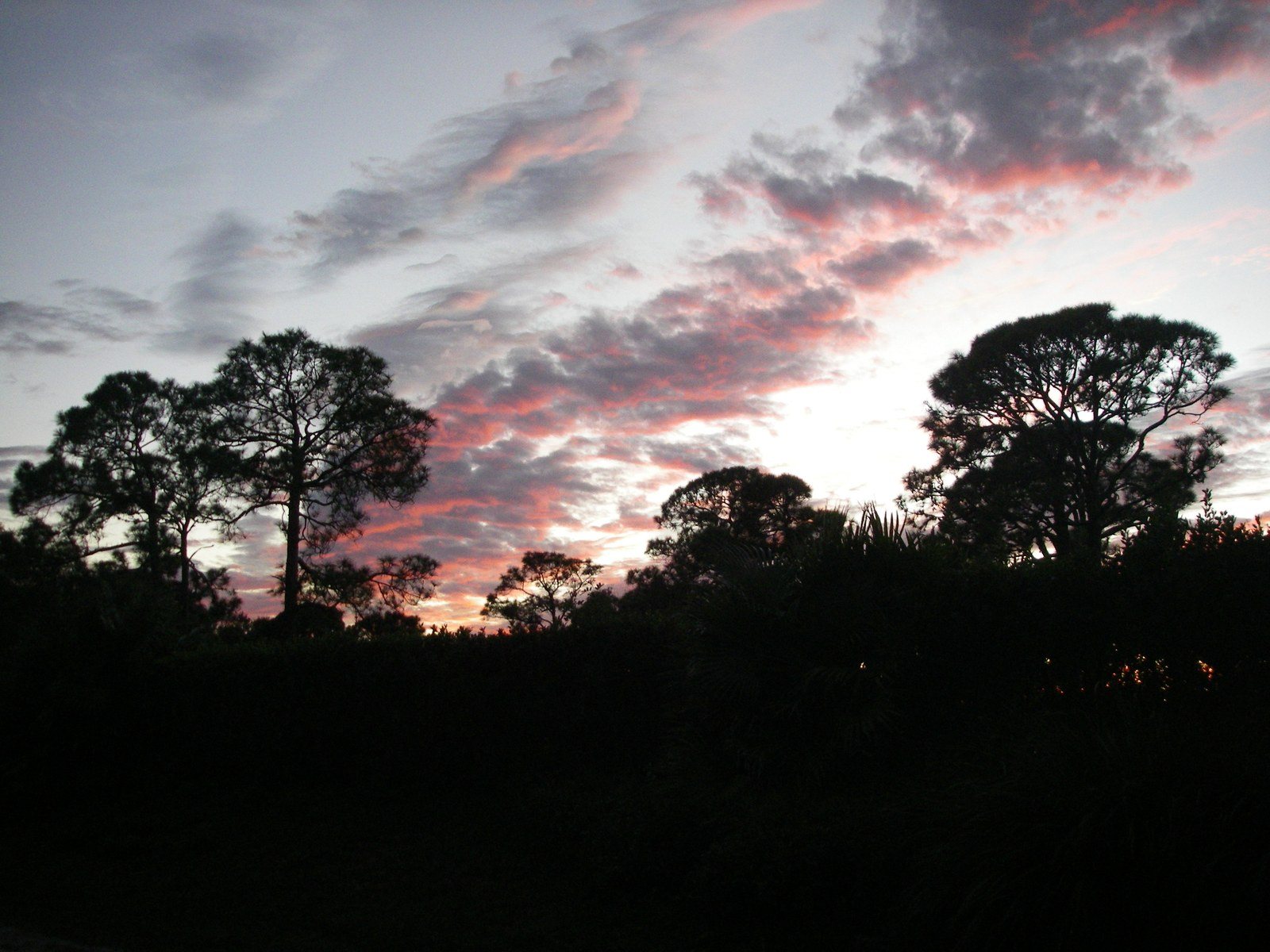 Sun Set