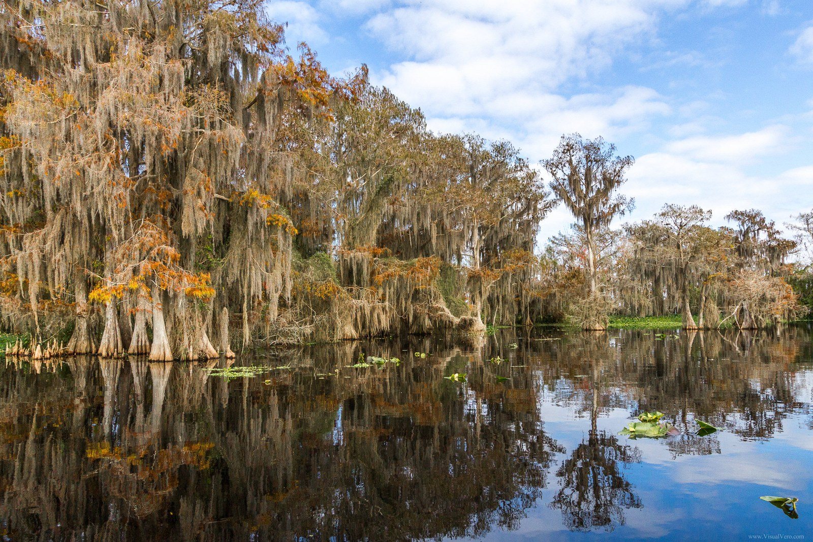 Blue Cypress Lake