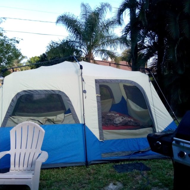 Back Yard Camping In The Plams