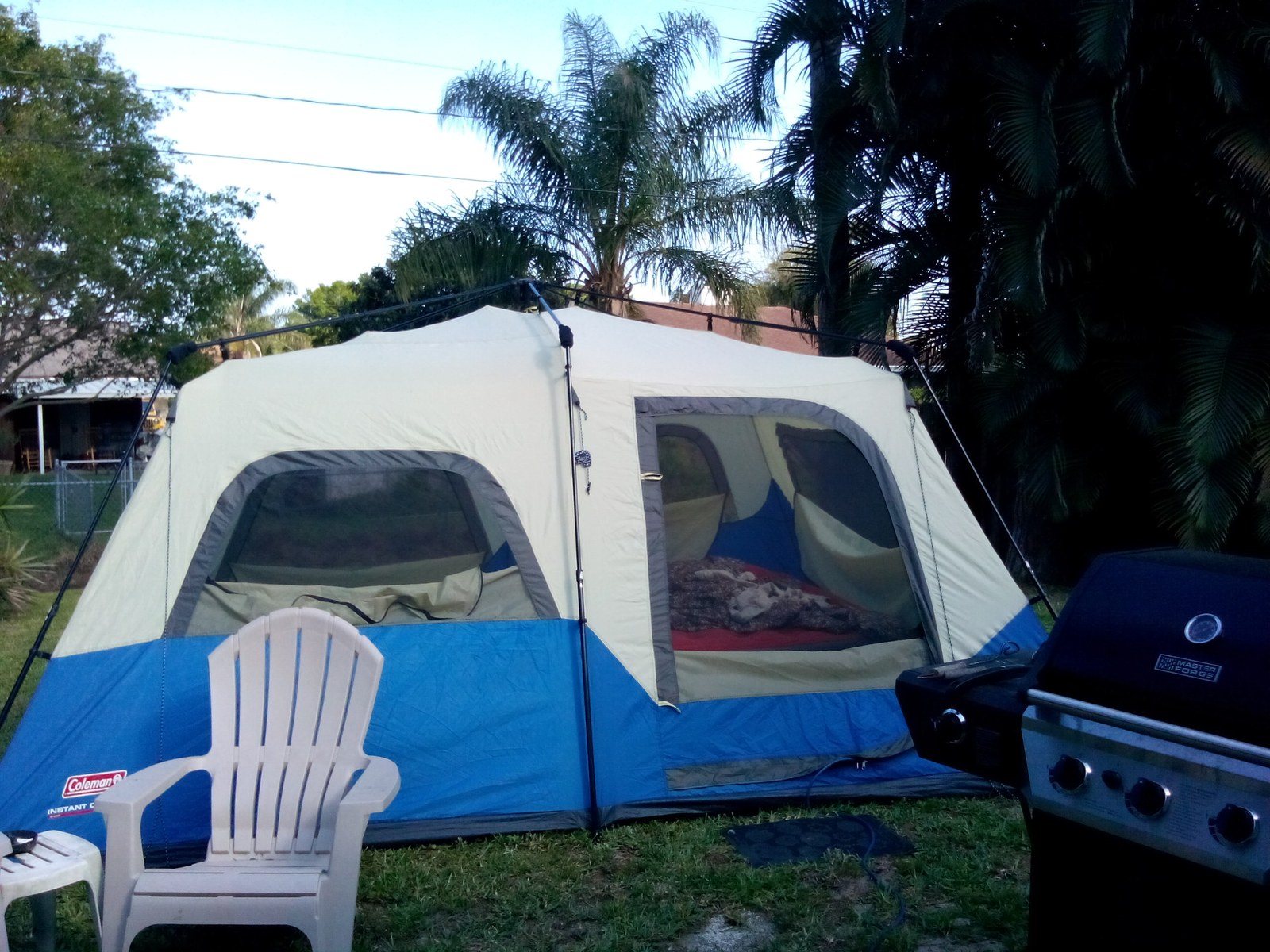 Back Yard Camping In The Plams