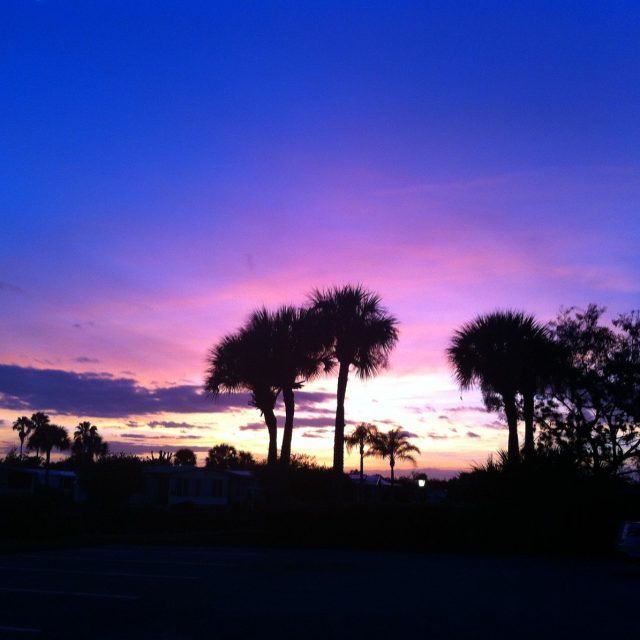Purple Sky
