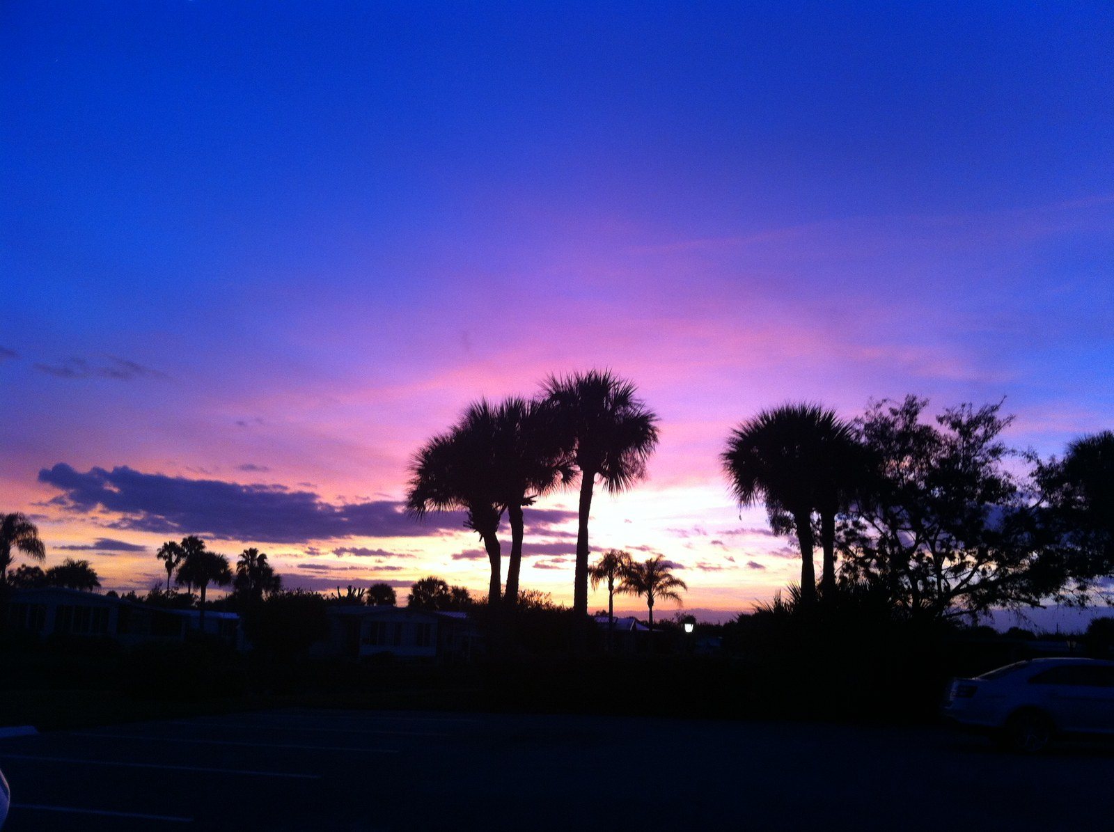 Purple Sky