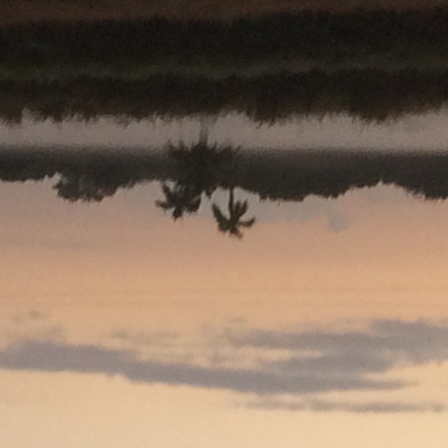 Beautiful Sunright