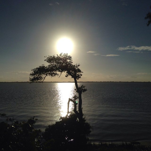 Sunset On The Indian River