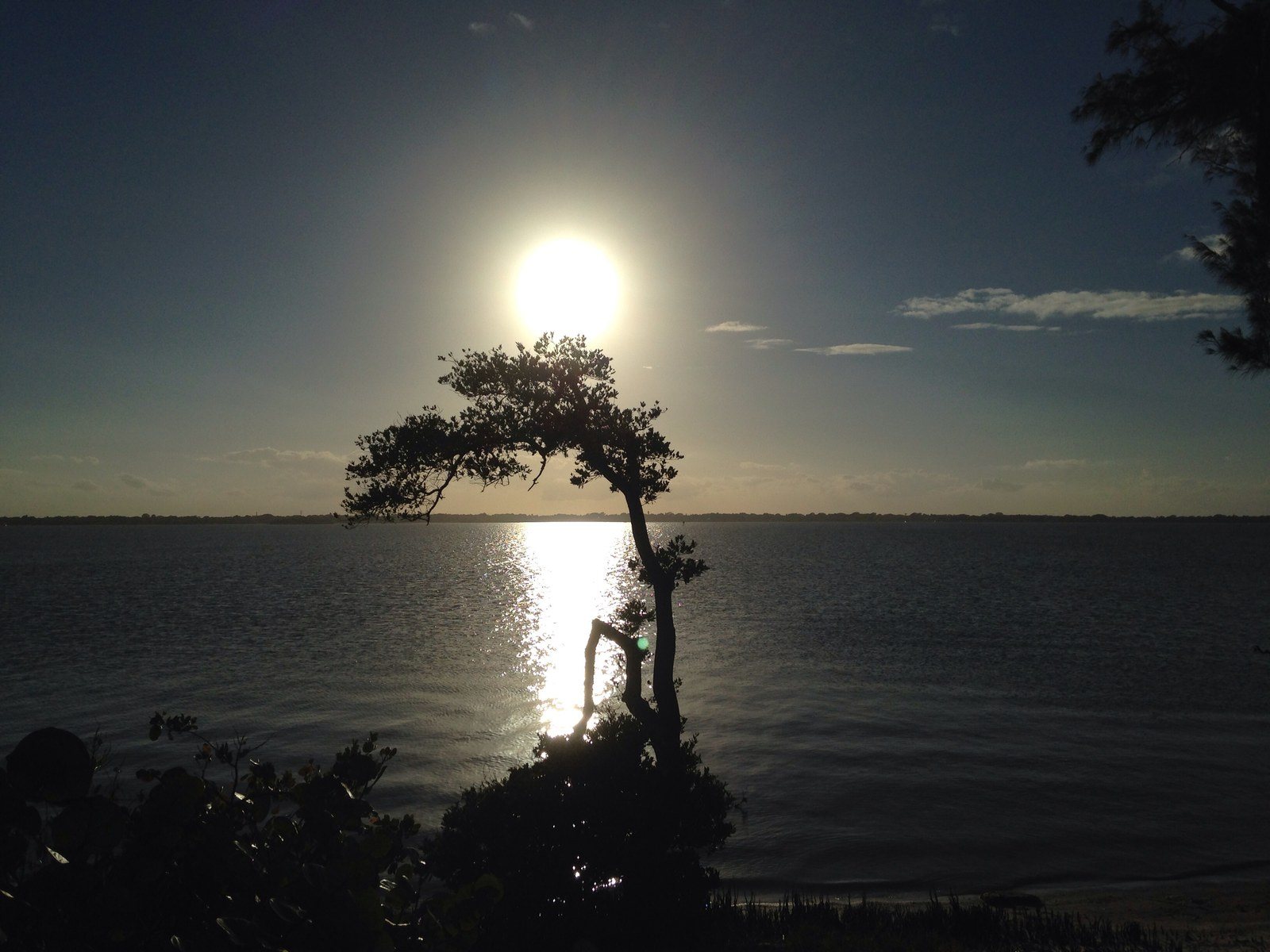 Sunset On The Indian River