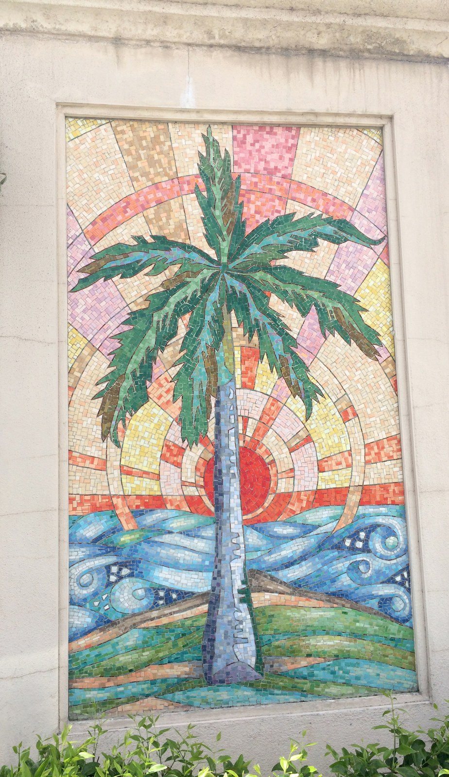 Royal Palm