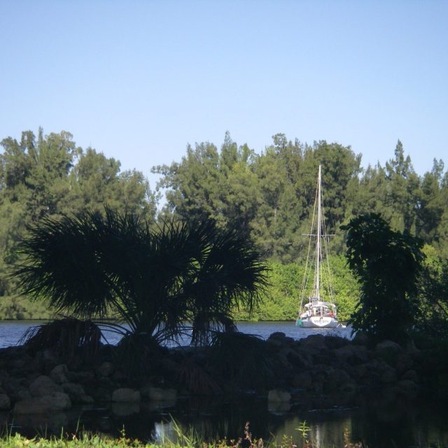 Vero City Merina
