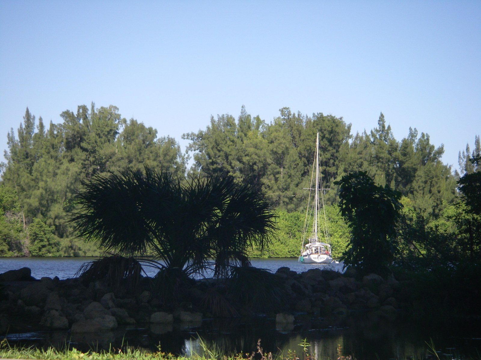 Vero City Merina
