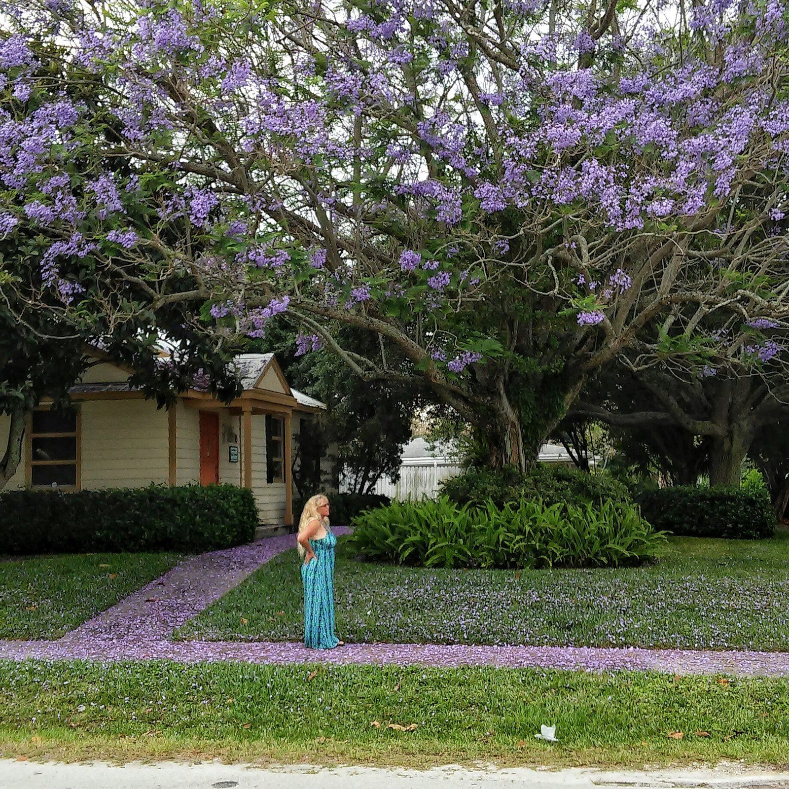 Down Town Vero