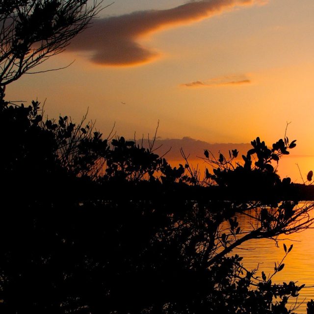 Indian River Sunset