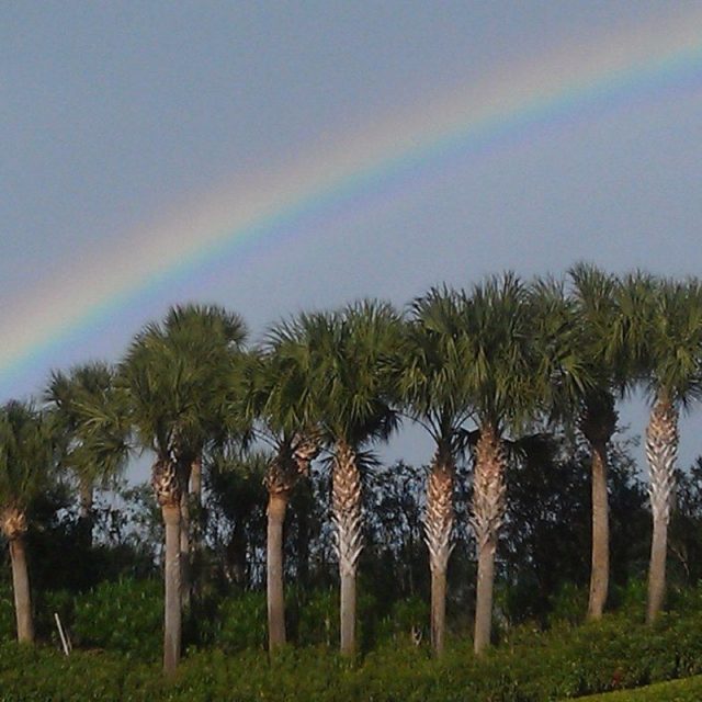 Vero's Pot Of Gold