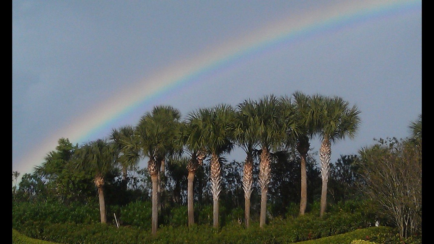 Vero's Pot Of Gold