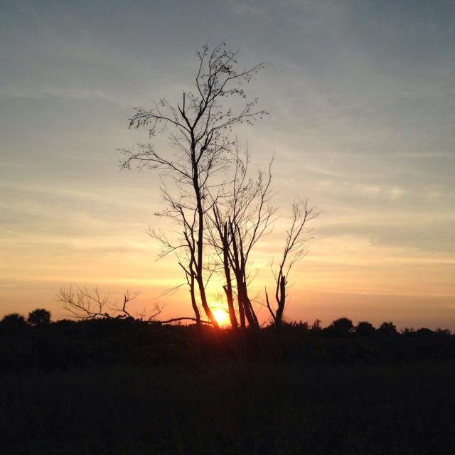 Sunset Treasure Coast