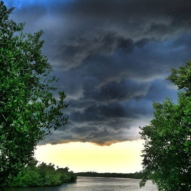 Summer Storm