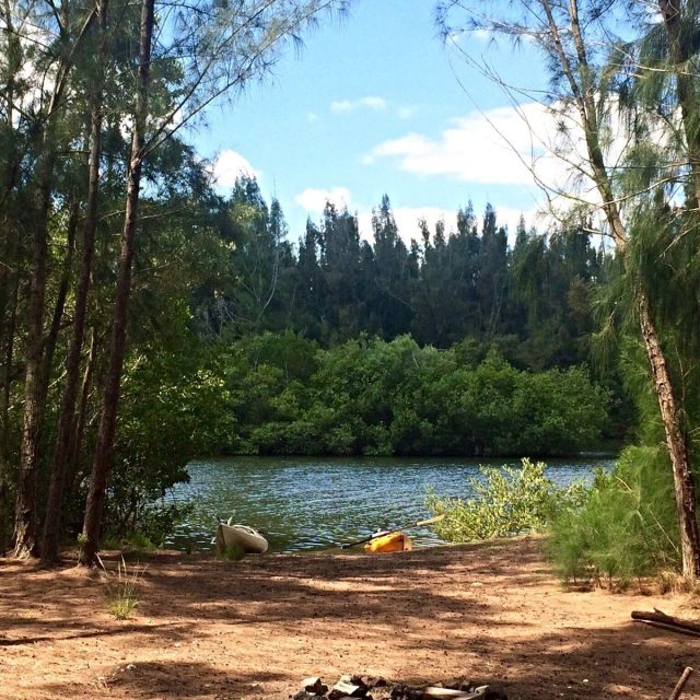 Kayak Rest Stop