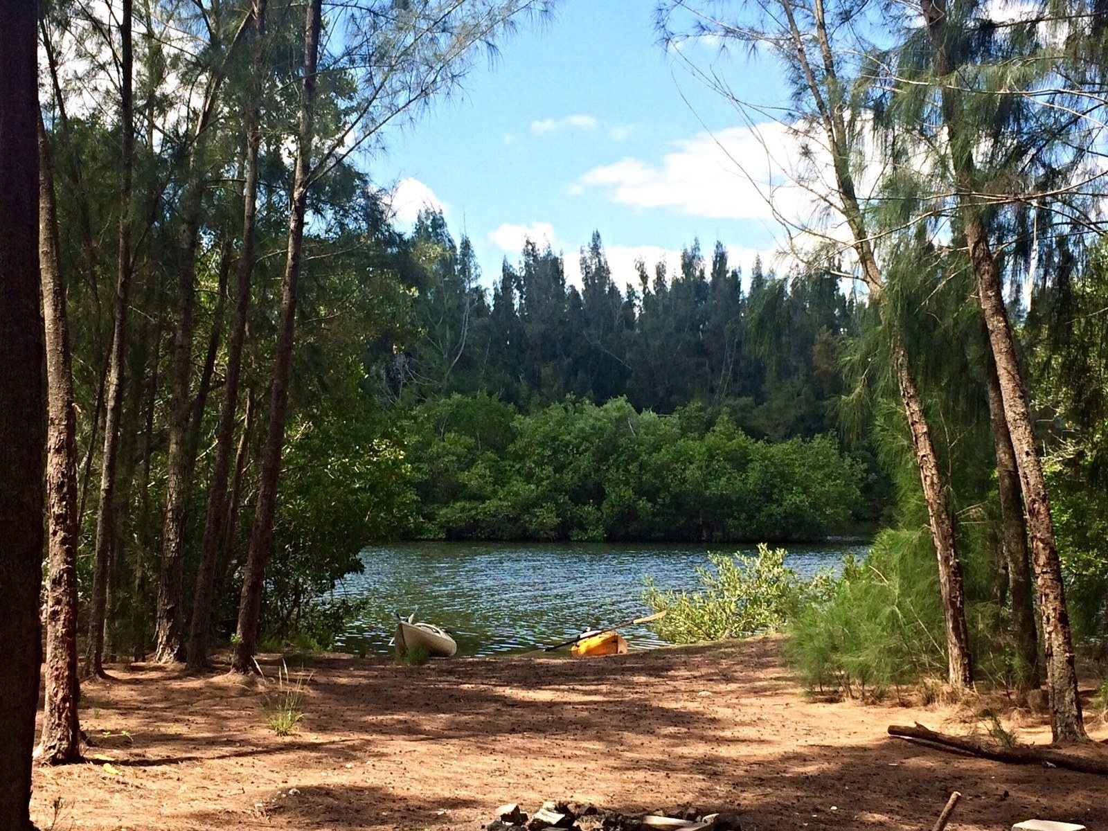 Kayak Rest Stop