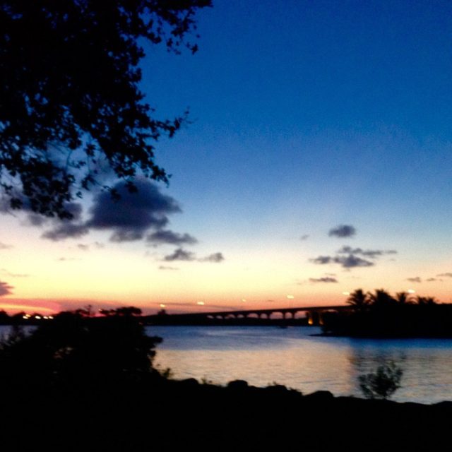 Riverside Sunset Through The Trees