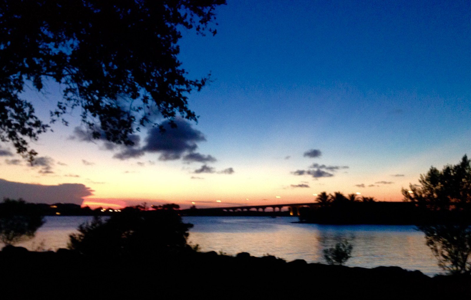 Riverside Sunset Through The Trees