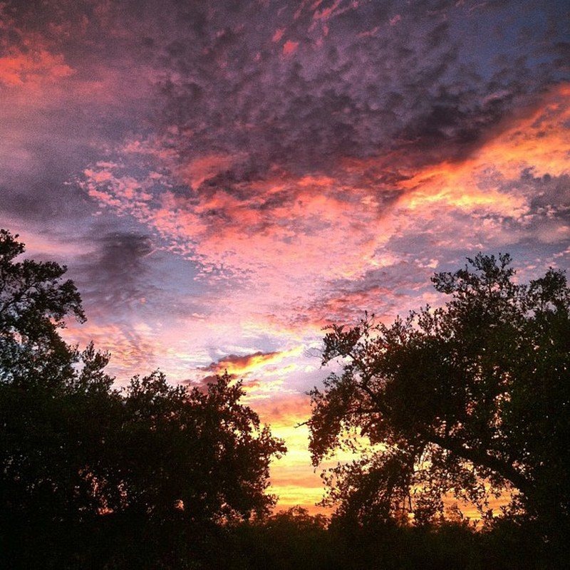 Summer Sunset